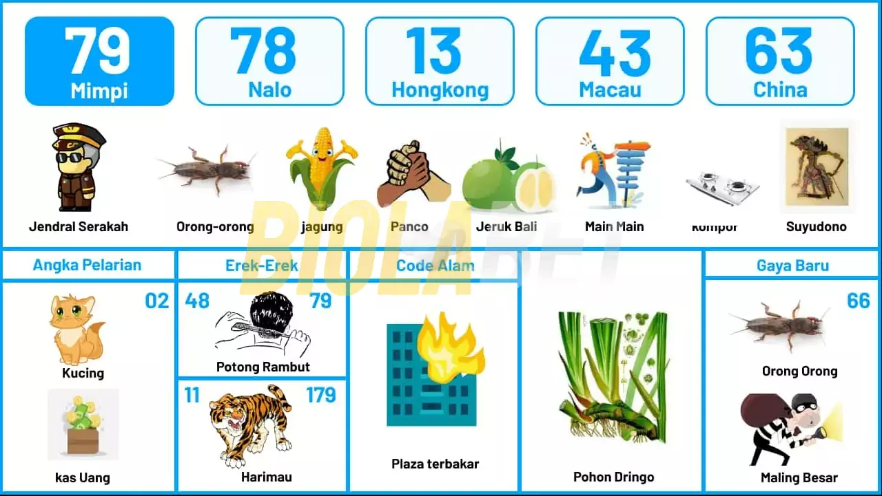 buku mimpi erek erek togel 79